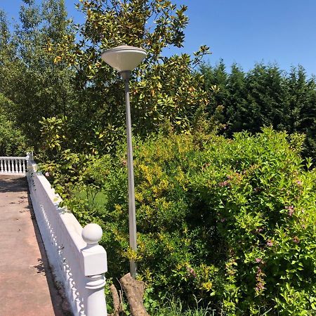 La Casona De La Carbayeda Villa Oviedo Bagian luar foto